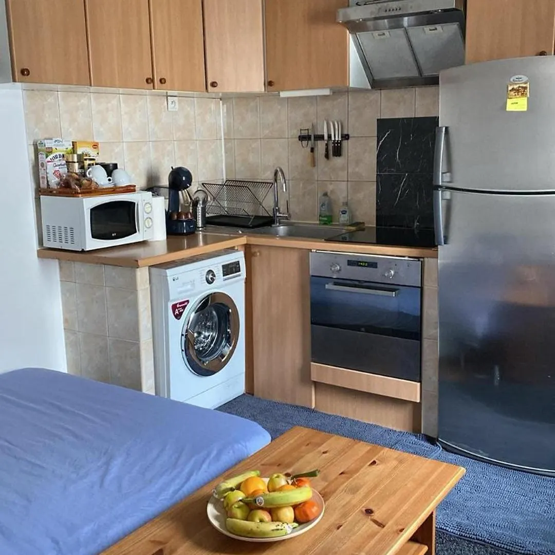 Basic Cozy Apartment Choisy-le-Roi 0*,